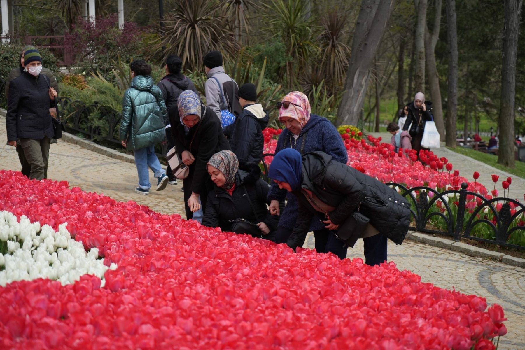 İstanbul'da renk cümbüşü: Laleler park ve koruları süsledi
