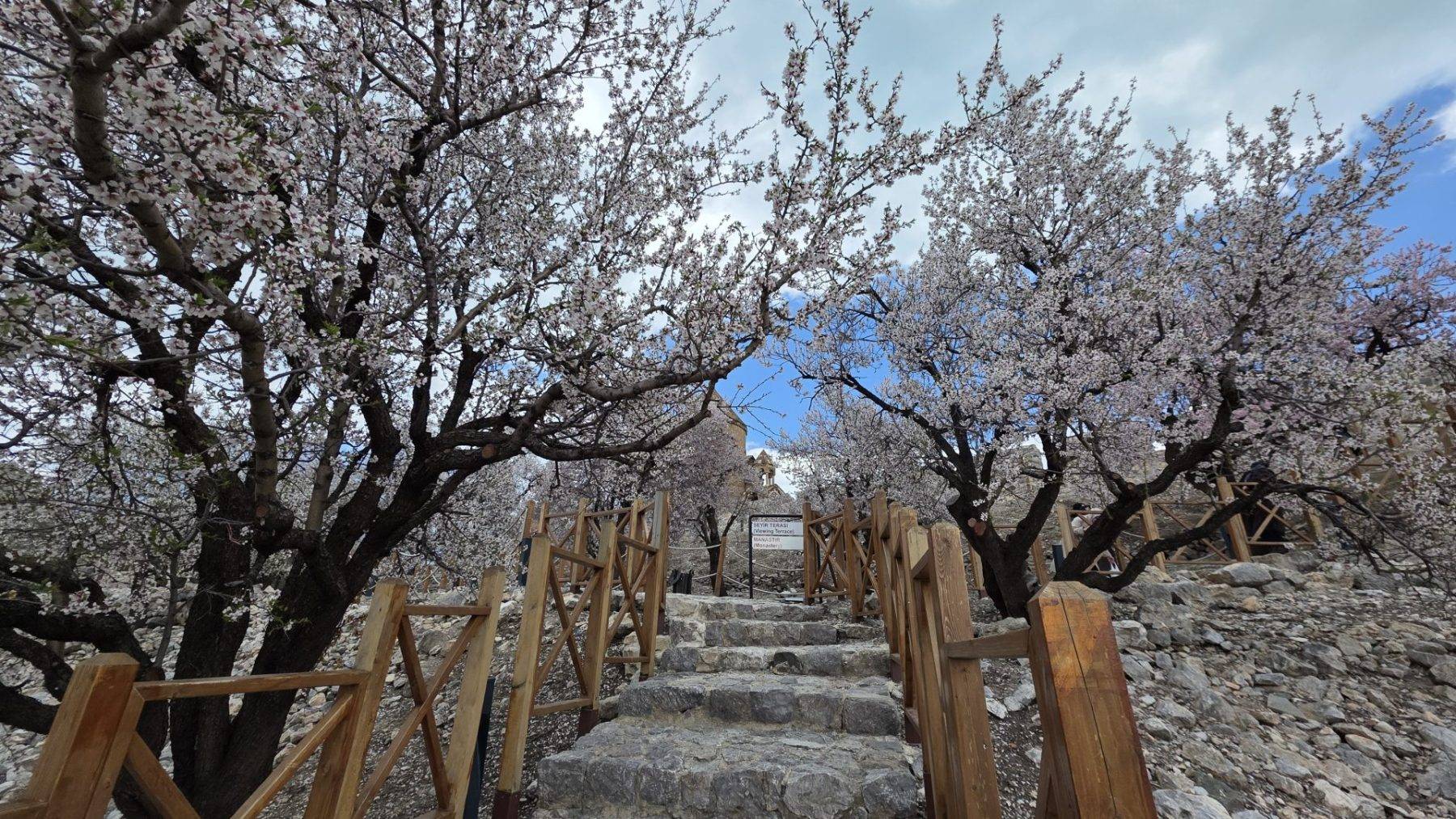 Önceden gelmediklerine pişman oldular: Akdamar Adası'na yoğun ilgi