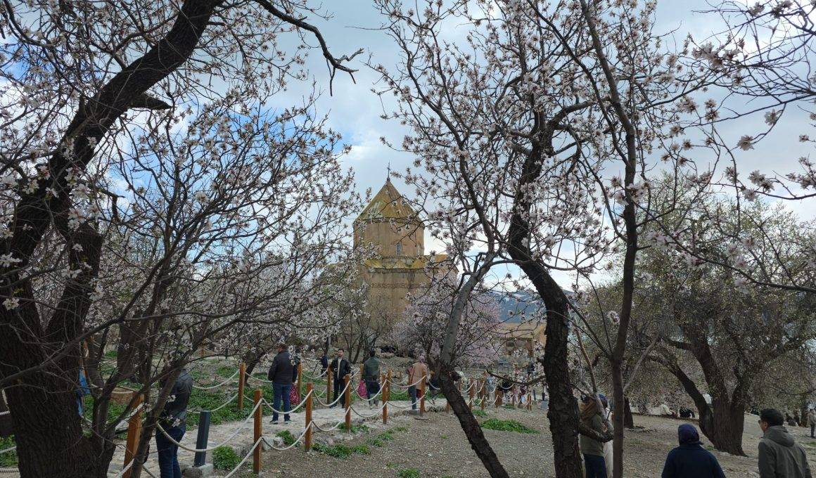 Önceden gelmediklerine pişman oldular: Akdamar Adası'na yoğun ilgi