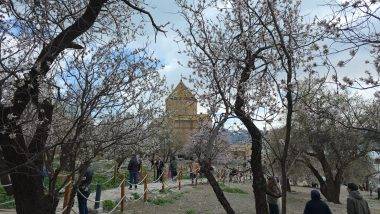 Önceden gelmediklerine pişman oldular: Akdamar Adası'na yoğun ilgi