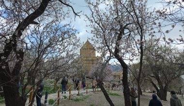 Önceden gelmediklerine pişman oldular: Akdamar Adası'na yoğun ilgi