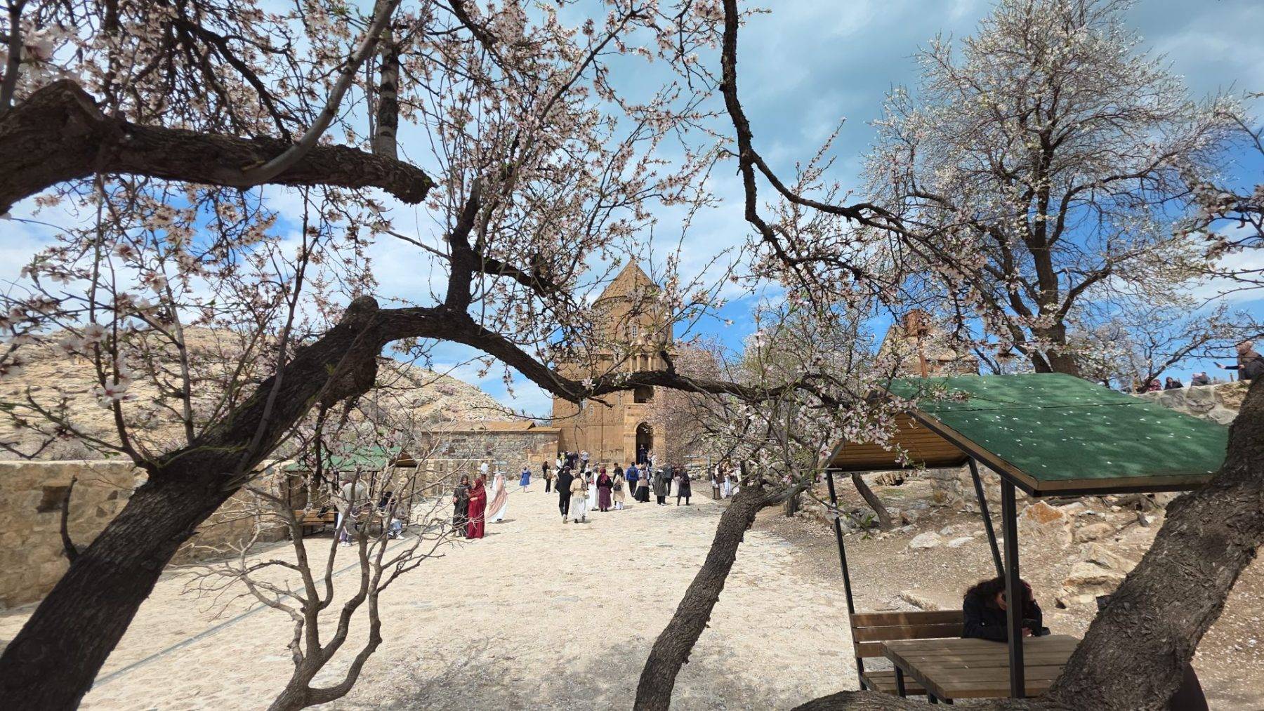 Önceden gelmediklerine pişman oldular: Akdamar Adası'na yoğun ilgi