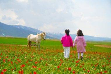Sadece 3 hafta görülebilen manzaralar: Muş Ovası, tescilli laleler ile şenlendi