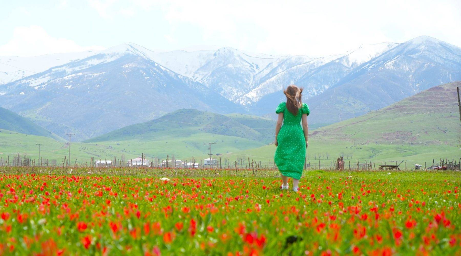Sadece 3 hafta görülebilen manzaralar: Muş Ovası, tescilli laleler ile şenlendi