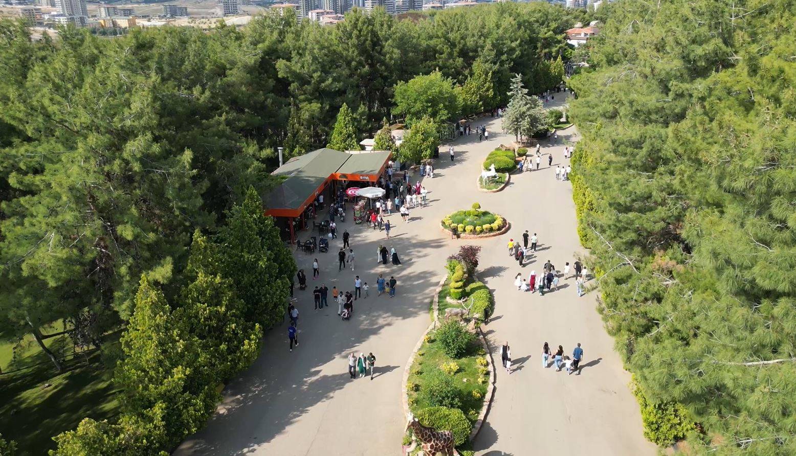 Bu yıl da rekor bekleniyor! Gaziantep Doğal Yaşam Parkı yoğun ilgi görüyor