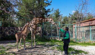 Bu yıl da rekor bekleniyor! Gaziantep Doğal Yaşam Parkı yoğun ilgi görüyor