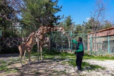 Bu yıl da rekor bekleniyor! Gaziantep Doğal Yaşam Parkı yoğun ilgi görüyor