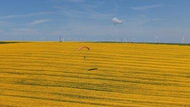 Sarı tarlalar üzerinde süzüldü! Tekirdağ'da kanola tarlaları mest etti