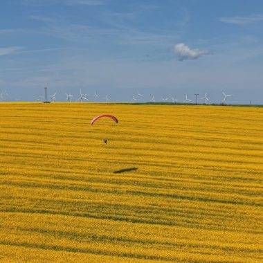 Sarı tarlalar üzerinde süzüldü! Tekirdağ'da kanola tarlaları mest etti