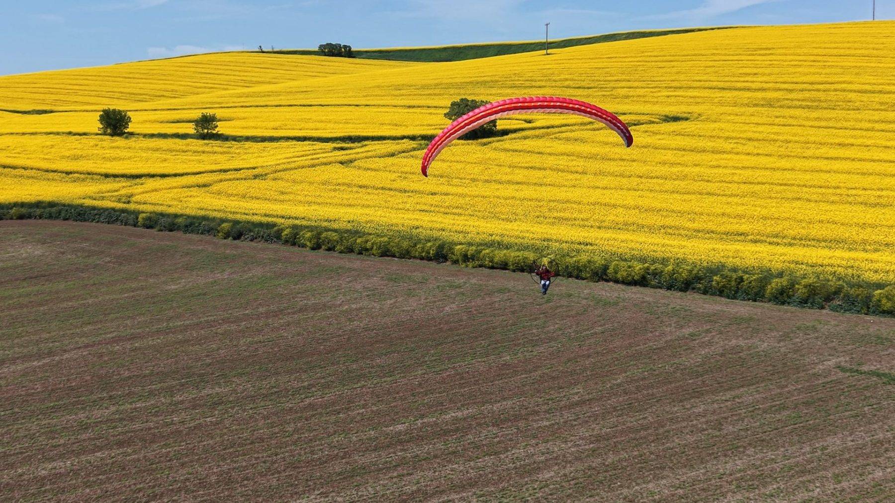 Sarı tarlalar üzerinde süzüldü! Tekirdağ'da kanola tarlaları mest etti