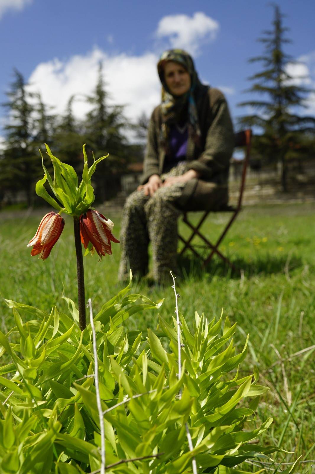 5 yıldır görülmüyordu! Denizli'de "Ağlayan Gelin" görenleri sevince boğdu