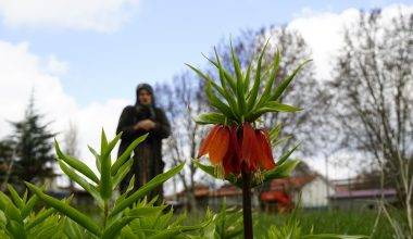 5 yıldır görülmüyordu! Denizli'de "Ağlayan Gelin" görenleri sevince boğdu