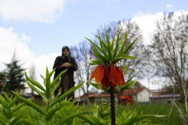 5 yıldır görülmüyordu! Denizli'de "Ağlayan Gelin" görenleri sevince boğdu