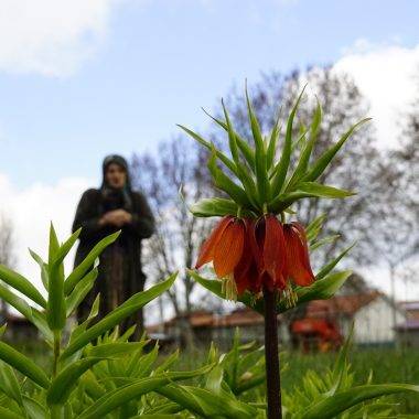 5 yıldır görülmüyordu! Denizli'de "Ağlayan Gelin" görenleri sevince boğdu