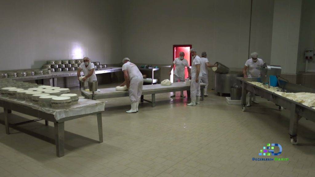 Türkiye’nin zengin mirası canlanıyor: Değerlerin Daveti’nde günün ürünü: Malkara eski kaşar peyniri