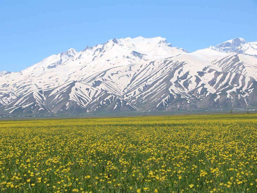 Hakkari'de kartpostallık manzaralar: Cilo Dağları baharın güzelliği ile buluştu