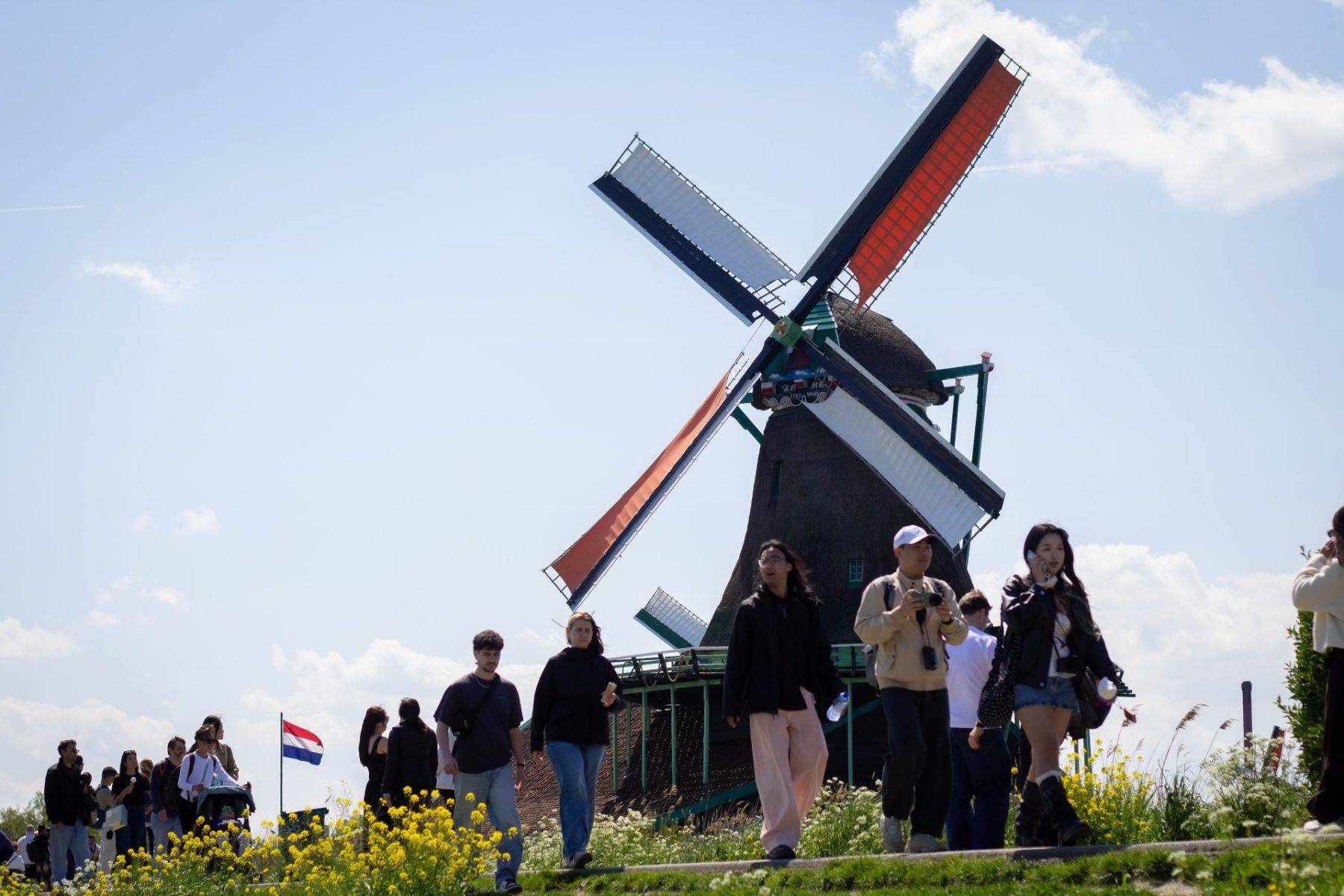 Yüzlerce yel değirmeni kapılarını açtı: Hollanda'da Ulusal Değirmen Günü kutlandı