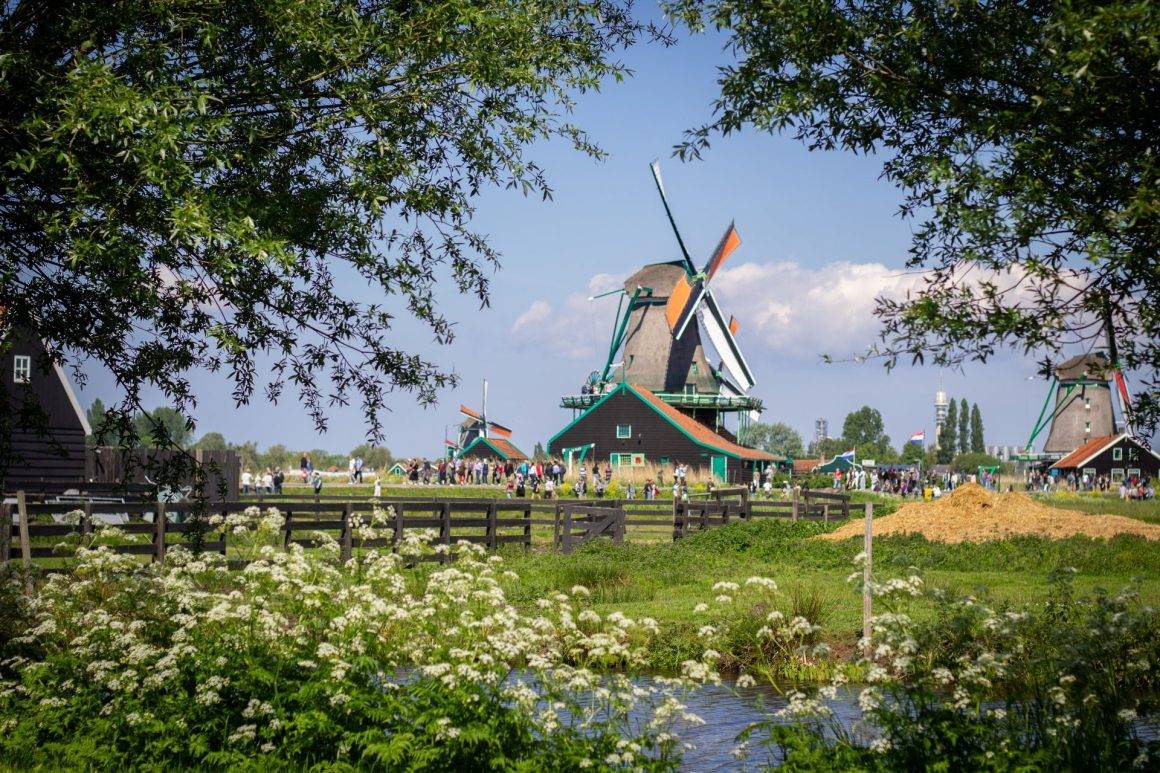 Yüzlerce yel değirmeni kapılarını açtı: Hollanda'da Ulusal Değirmen Günü kutlandı