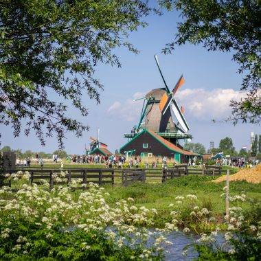 Yüzlerce yel değirmeni kapılarını açtı: Hollanda'da Ulusal Değirmen Günü kutlandı