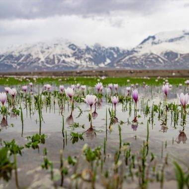 Fotoğrafçılar peşinde olduğu manzaralar: Tunceli'den ilkbahar kareleri