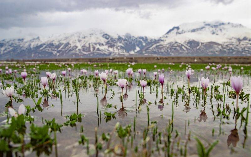 Fotoğrafçılar peşinde olduğu manzaralar: Tunceli'den ilkbahar kareleri