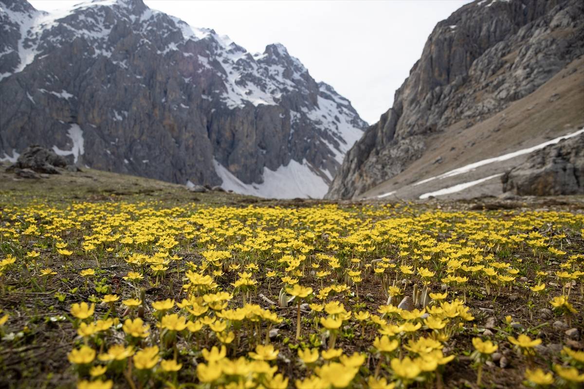 Fotoğrafçılar peşinde olduğu manzaralar: Tunceli'den ilkbahar kareleri