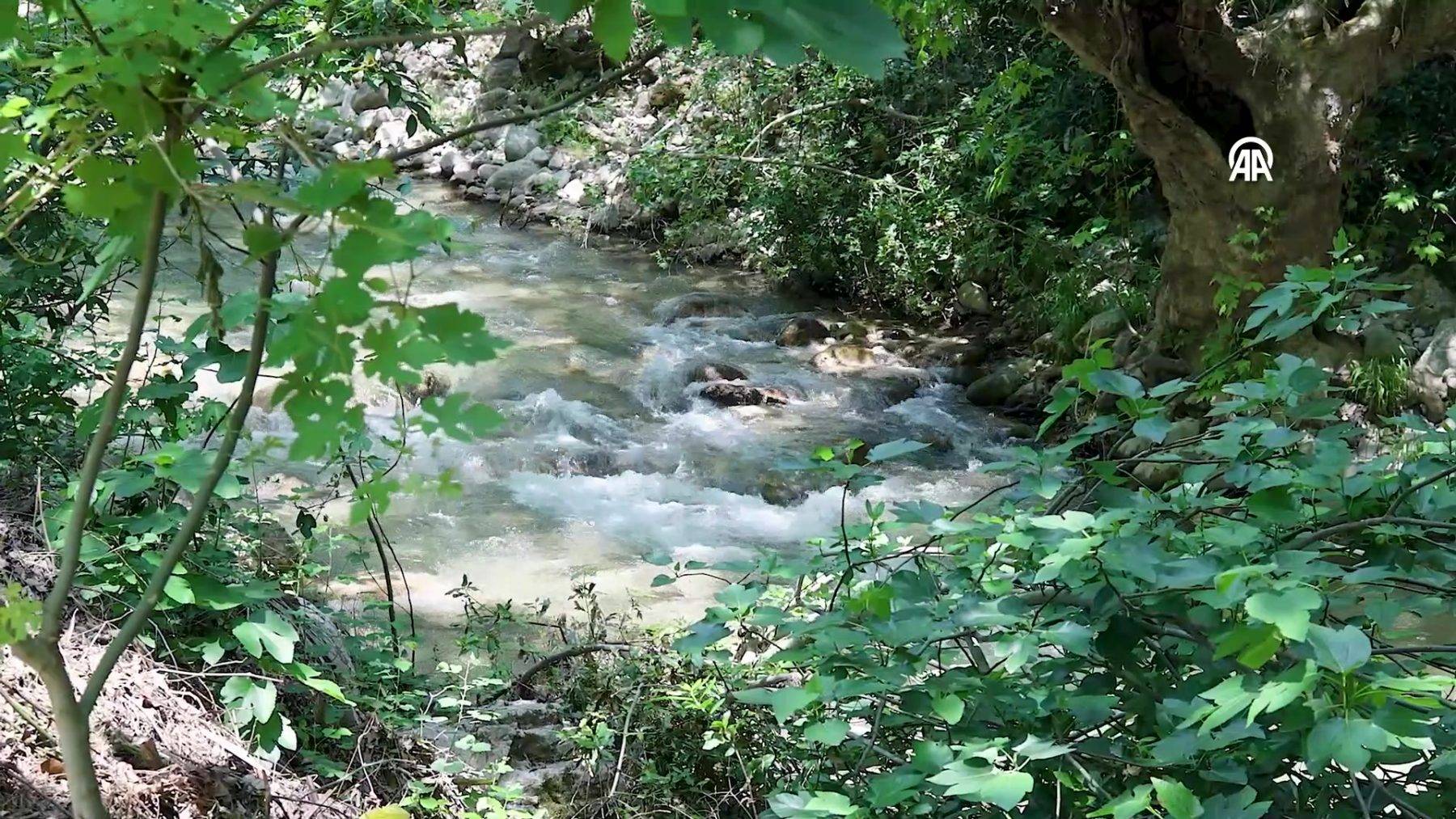 15 yılın ardından eski günlerine döndü: Antalya'da Ulupınar Deresi tekrar coştu