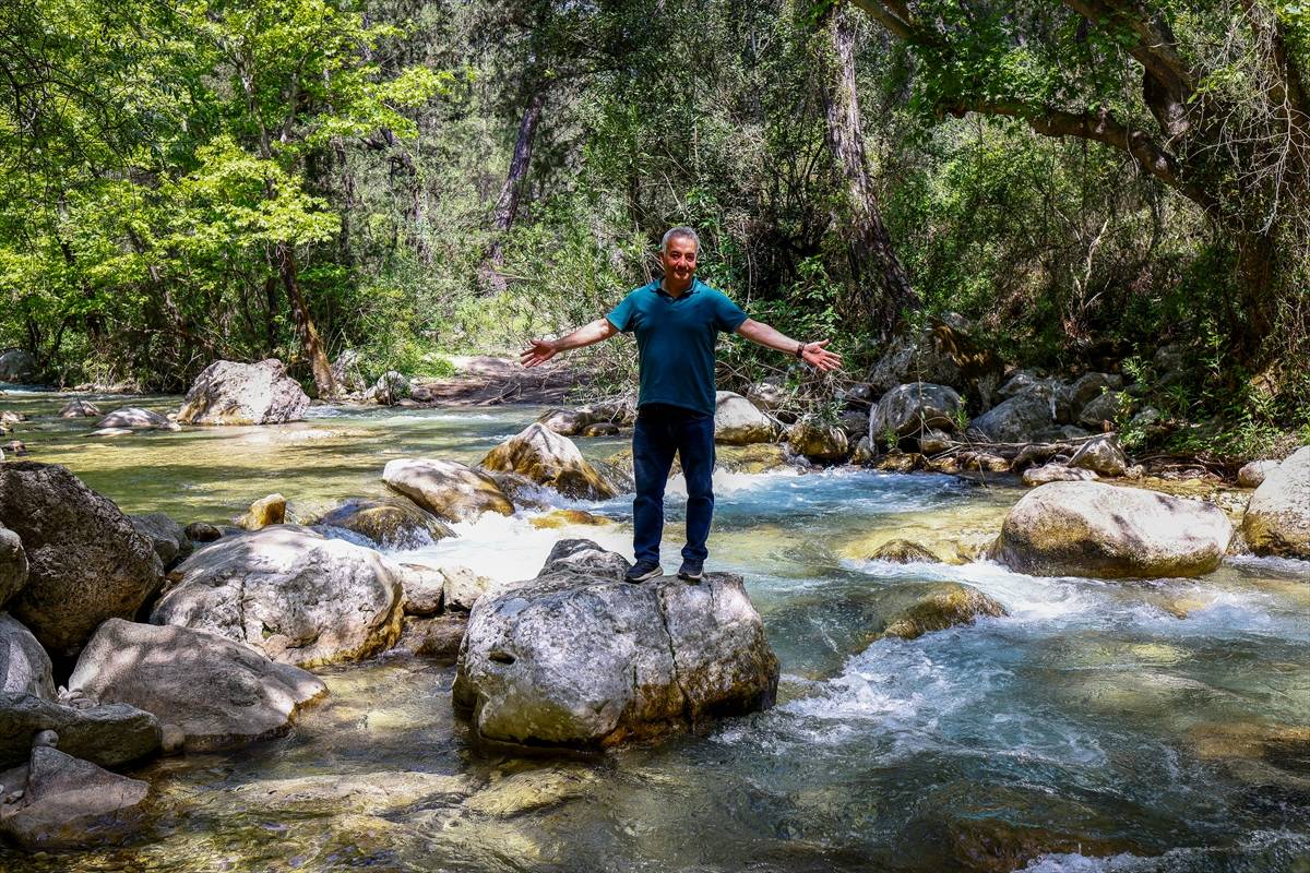 15 yılın ardından eski günlerine döndü: Antalya'da Ulupınar Deresi tekrar coştu