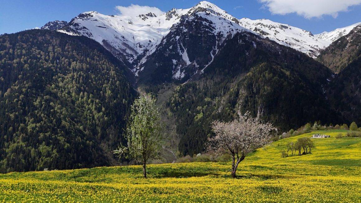Kaçkar Dağları ilkbahar manzaralarıyla mest etti
