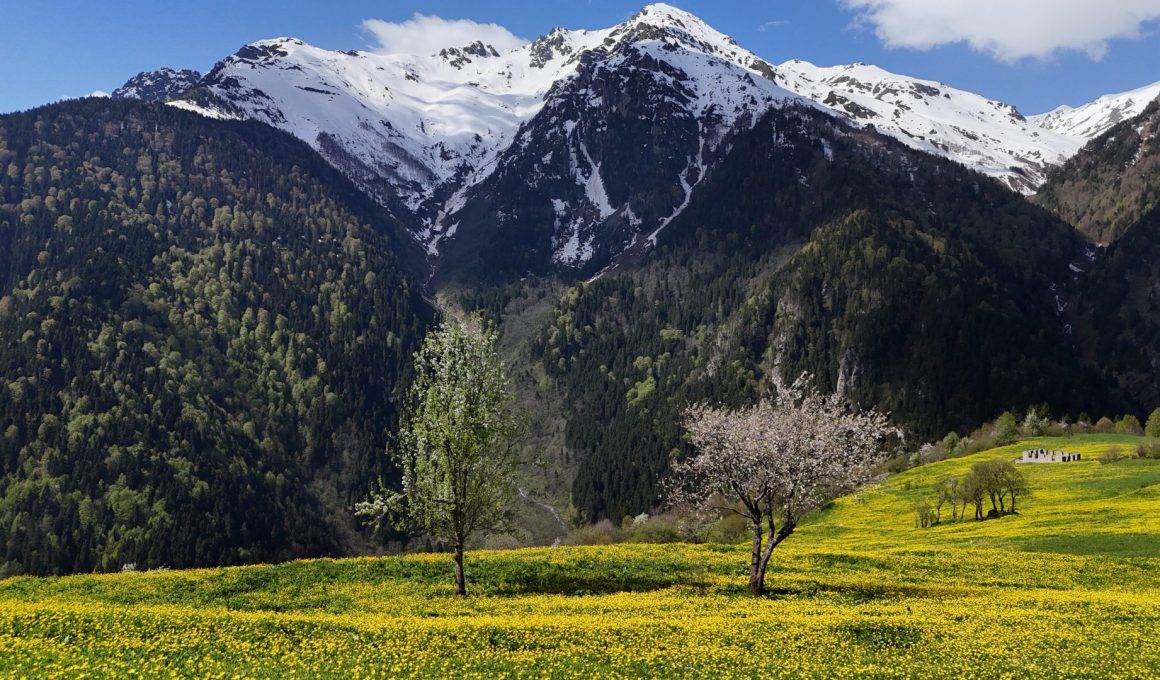Kaçkar Dağları ilkbahar manzaralarıyla mest etti