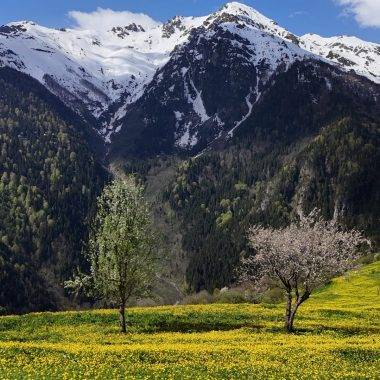 Kaçkar Dağları ilkbahar manzaralarıyla mest etti