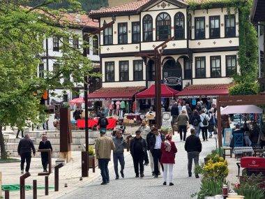 Sakarya'nın Birleşmiş Milletler'den ödüllü Taraklı ilçesinde bayram tatili yoğunluğu