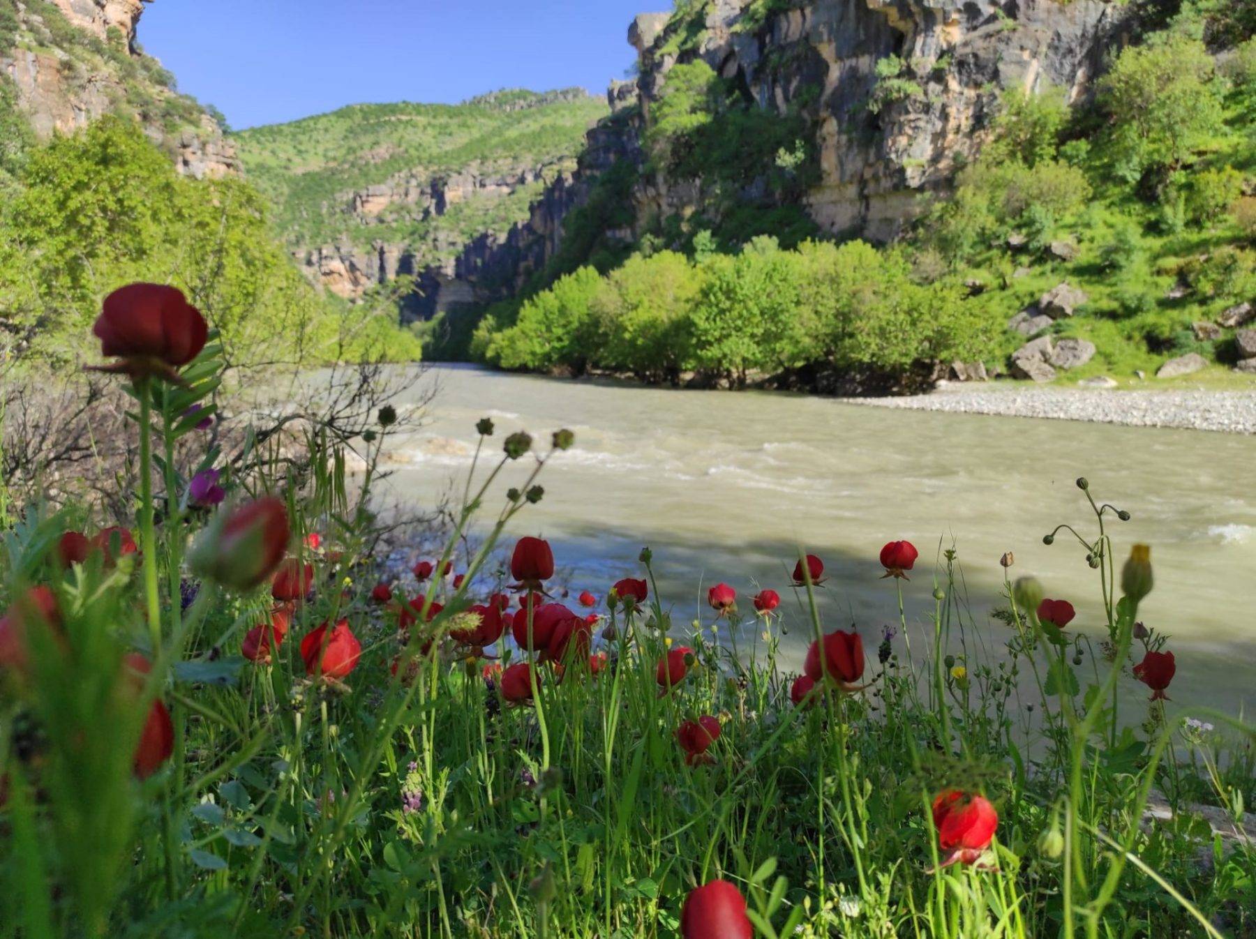 Kaleyi andıran kayaların gölgesindeki saklı cennet: Zore Kanyonu ve Şelalesi