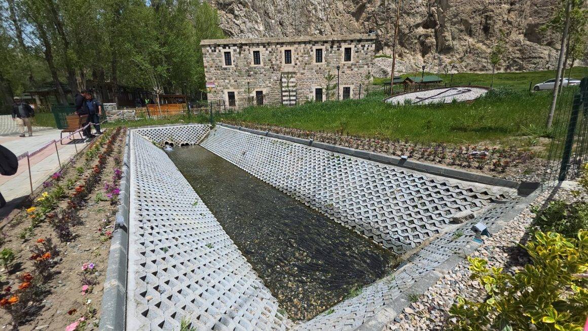 Van Gölü'nün özel balıkları tarihi caminin önünde görüldü