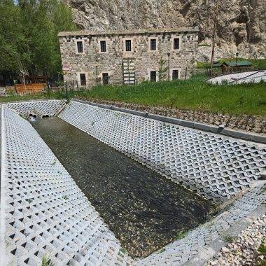 Van Gölü'nün özel balıkları tarihi caminin önünde görüldü