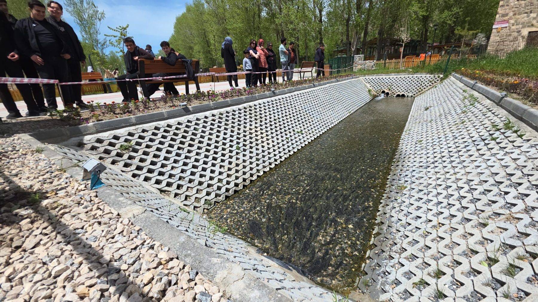 Van Gölü'nün özel balıkları tarihi caminin önünde görüldü