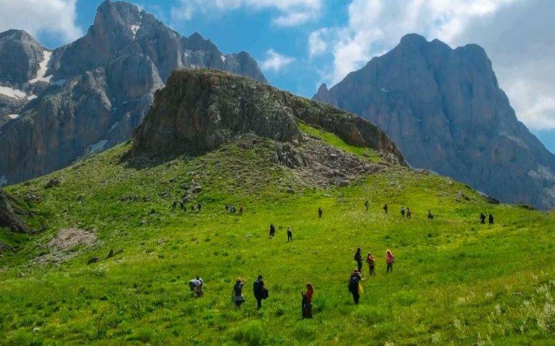 İlgi giderek artıyor! Erzincan'ın gizli tabiat hazinesi: Sohmarik Yaylası