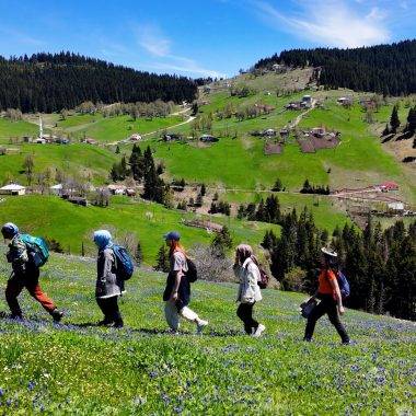Manzara tüm yorgunluklarını unutturdu: Gümüşhane'nin özel rotası mest etti