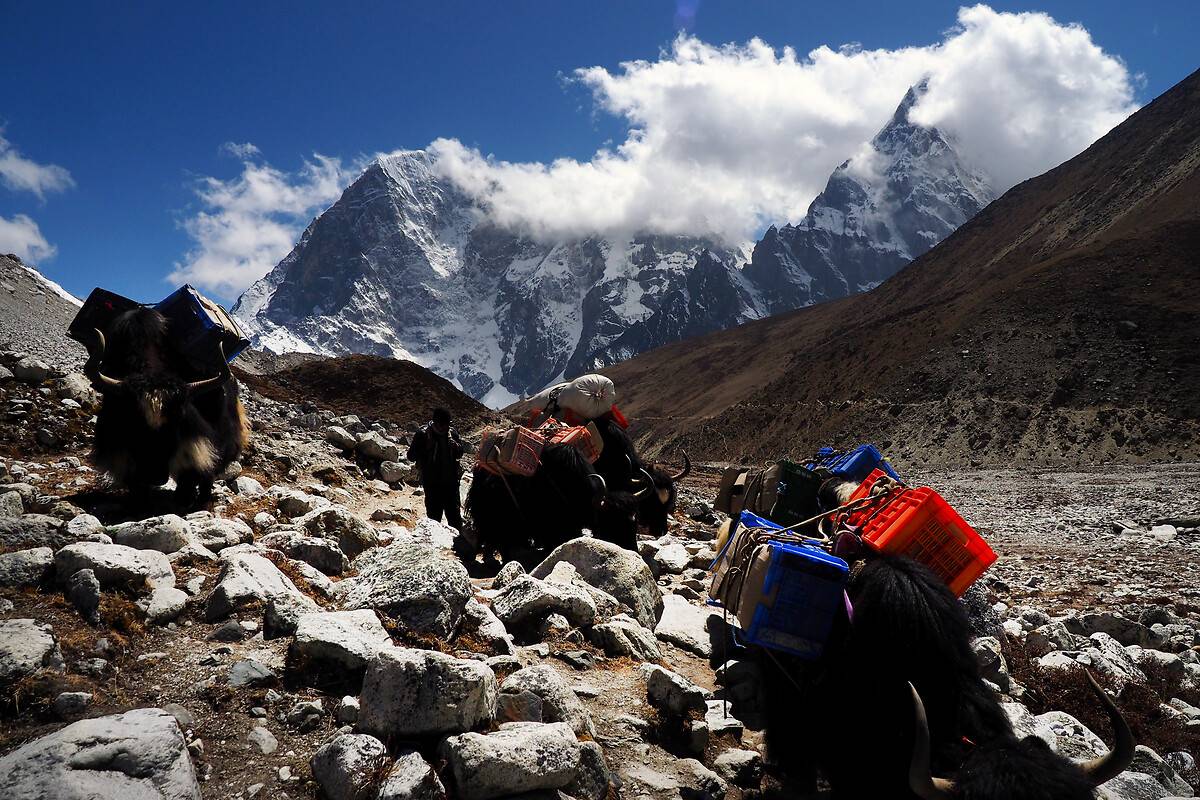 Everest Dağı'nda bahar tırmanış sezonu açıldı