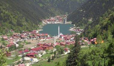 Karadeniz yaylaları bayram tatiline hazır: Rezervasyon oranları yüzde 80'e ulaştı