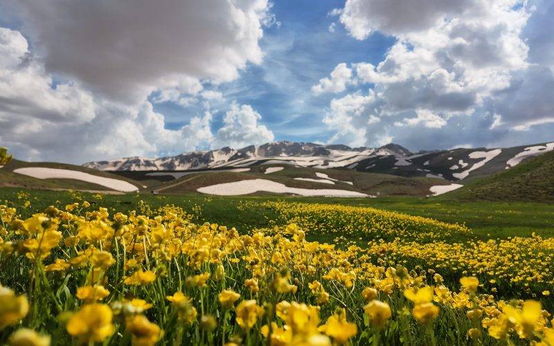 Antalya'nın Alpleri'nde yaz ve kış aynı yerde! Eğrigöl Yaylası hayran bıraktı