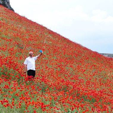 Erciyes Dağı'nın eteklerinde kırmızı şenlik: Gelincikler arazileri kızıla boyadı