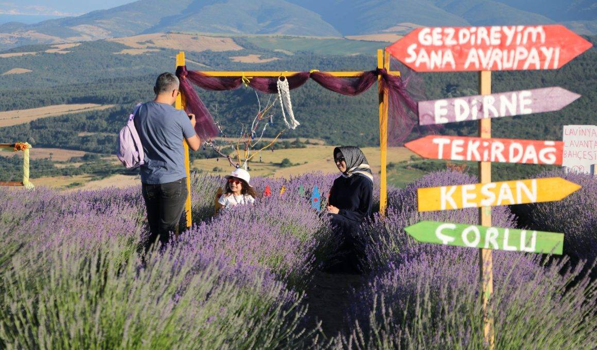 Fotoğraf çekmeye doyamadılar! Tekirdağ'ın lavanta bahçeleri ziyaretçileri mest etti