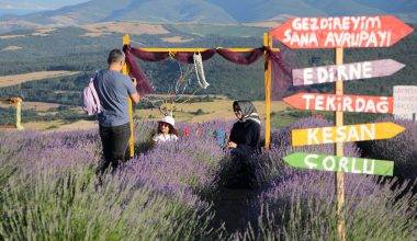 Fotoğraf çekmeye doyamadılar! Tekirdağ'ın lavanta bahçeleri ziyaretçileri mest etti