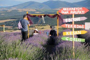 Fotoğraf çekmeye doyamadılar! Tekirdağ'ın lavanta bahçeleri ziyaretçileri mest etti