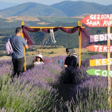 Fotoğraf çekmeye doyamadılar! Tekirdağ'ın lavanta bahçeleri ziyaretçileri mest etti