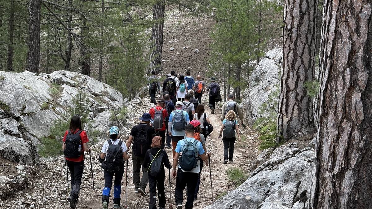 Kayseri'de dağların arasına gizlenmiş bir vaha: Haver Ormanları