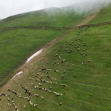 Gümüşhane'nin Taşköprü Yaylası kültürel zenginliği ve doğası ile ilgi odağı oldu