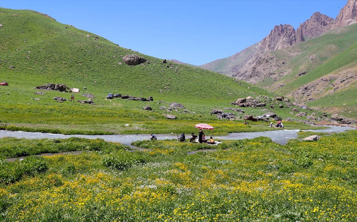 Hakkari'de aynı anda 2 mevsim! Bir yanda buzullar bir yanda bahar çiçekleri