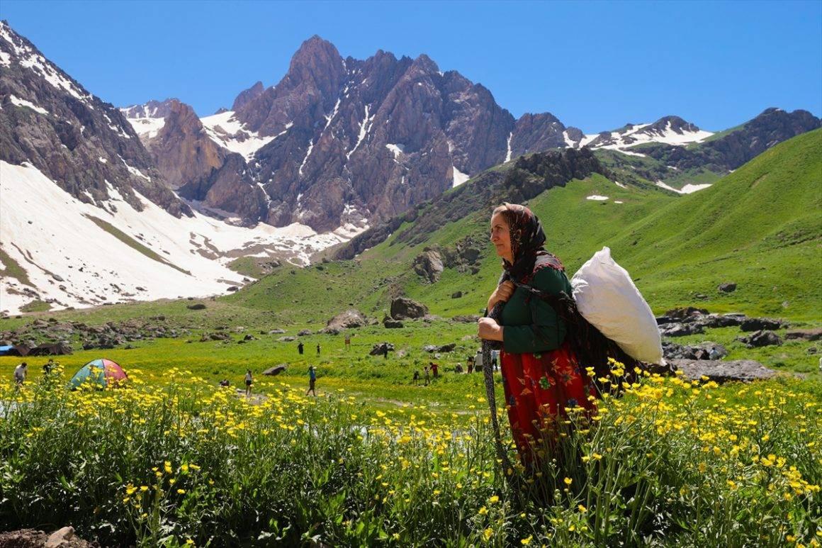Hakkari'de aynı anda 2 mevsim! Bir yanda buzullar bir yanda bahar çiçekleri